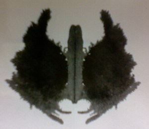 Photo on 2012-01-24 at 11.13