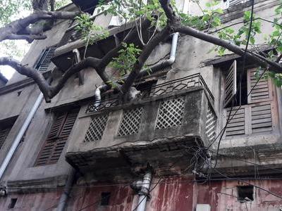 128274247M-1537529748malanga lane