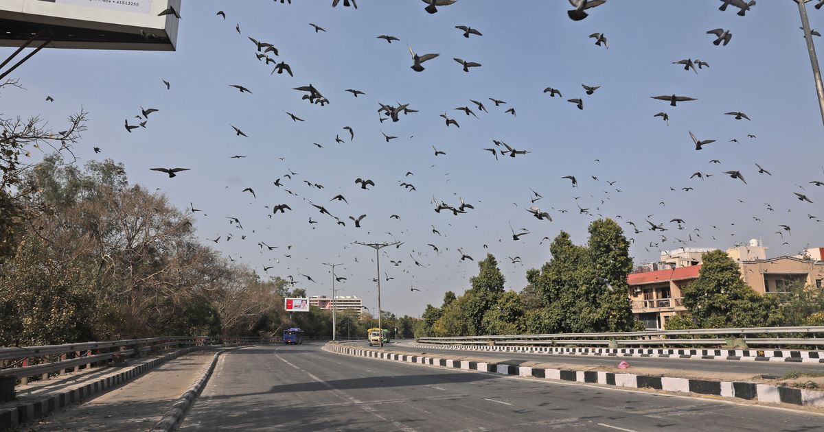 5e78204c2300003000c8b599